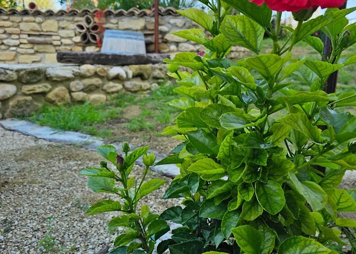 Borgo Del Marchese Panzió Ortona