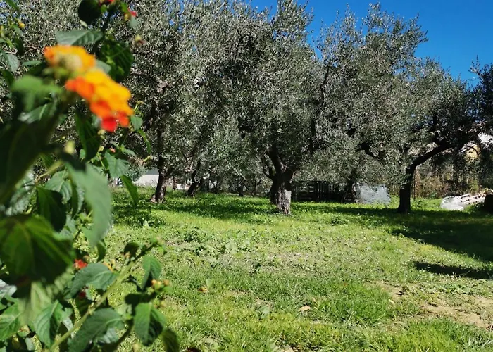 Borgo Del Marchese 3* Ortona