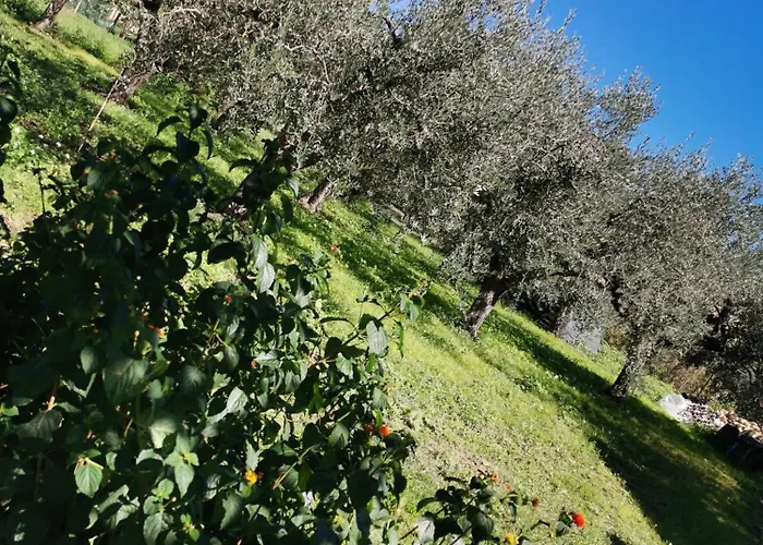 Borgo Del Marchese Panzió