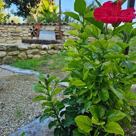 Borgo Del Marchese Nocleg ze śniadaniem Ortona