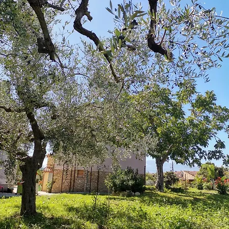 Frühstückspension Borgo Del Marchese