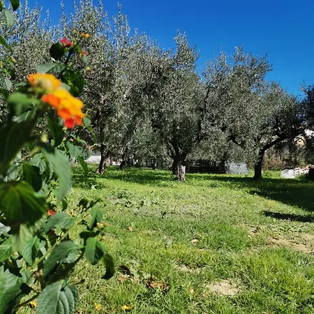 Borgo Del Marchese 4* Ortona