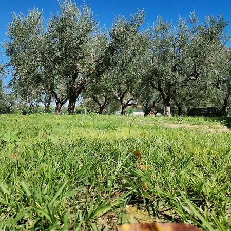 Frühstückspension Borgo Del Marchese