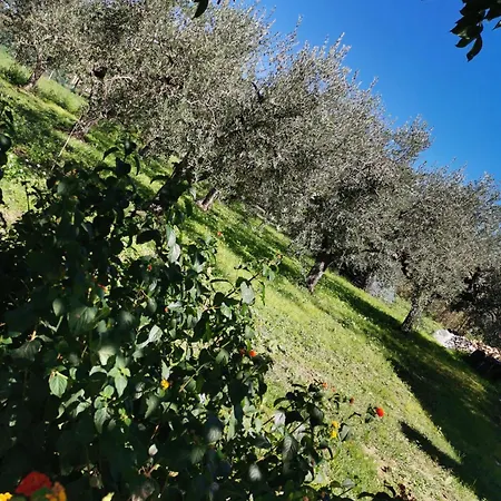 Borgo Del Marchese Frühstückspension