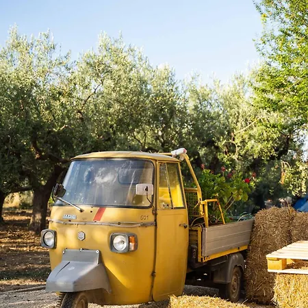 Borgo Del Marchese Nocleg ze śniadaniem